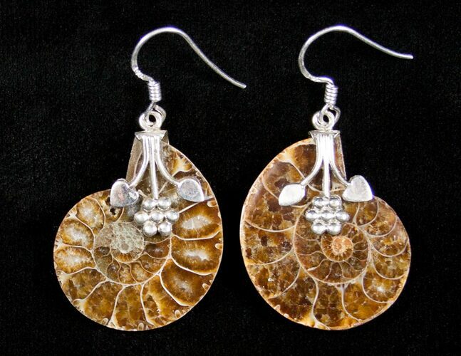 Ammonite Earrings #3158
